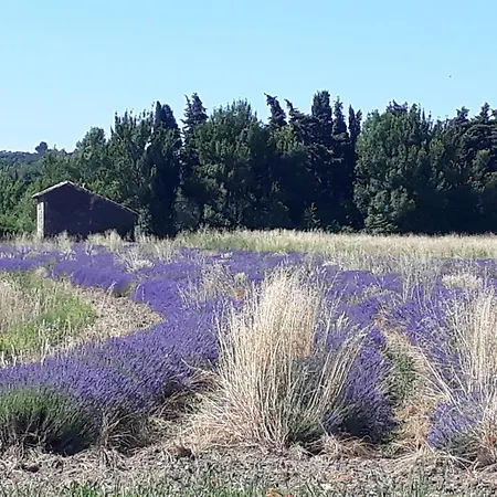 La Petite Maison Dans Les Vignes *